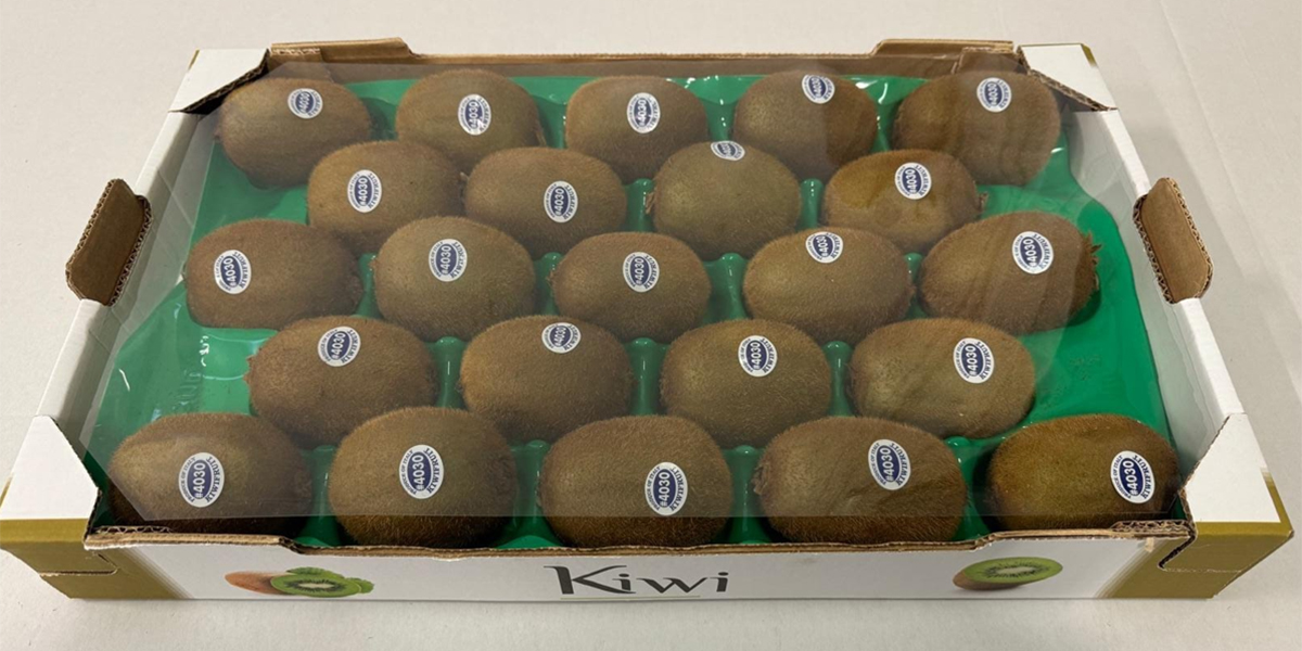 Romagna, Kiwi Hayward ai nastri di partenza: volumi in crescita e qualità incoraggiante